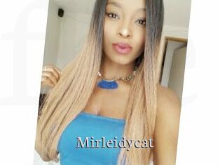 Mirleidycat