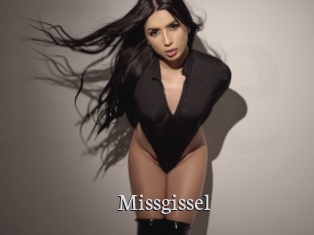 Missgissel