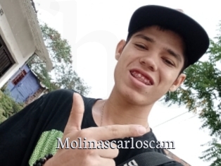 Molinascarloscam
