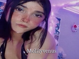 Molllyvenus