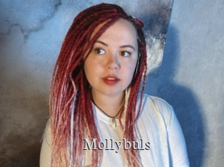 Mollybuls