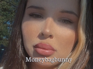 Moneybagbunny