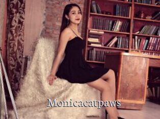 Monicacatpaws