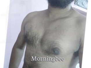 morningbee Free Host Empire