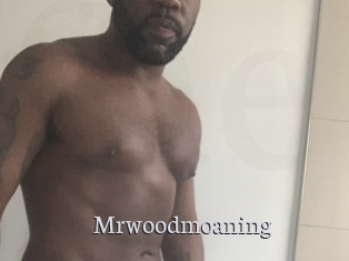 Mrwoodmoaning