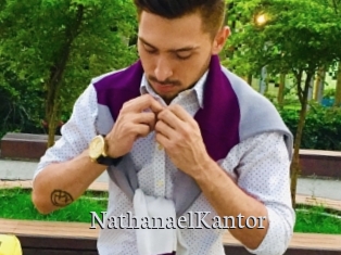 NathanaelKantor Free Host Empire