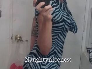 Naughtyniceness