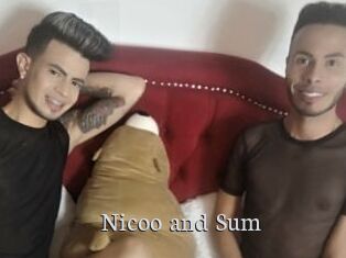 Nicoo_and_Sum Free Host Empire