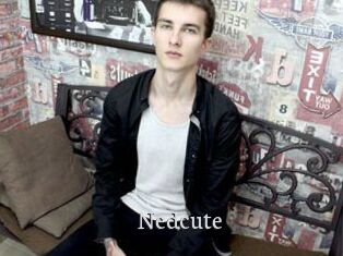 Nedcute