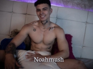 noahmush Free Host Empire