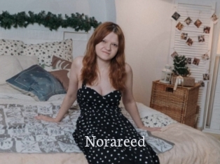 Norareed