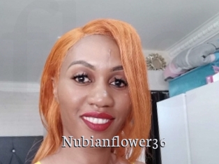 Nubianflower36