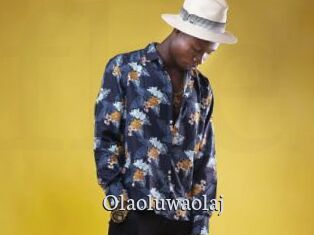 Olaoluwaolaj