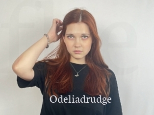 Odeliadrudge