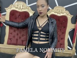 PAMELA_NOLIMITS