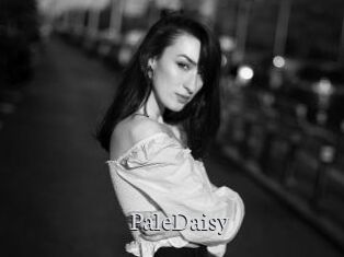 PaleDaisy