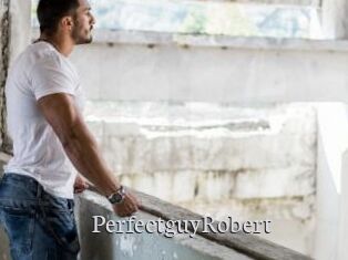 PerfectguyRobert