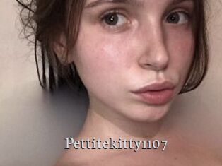 Pettitekitty1107