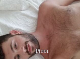 Pj001