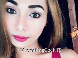 PlayfulBigCockTS