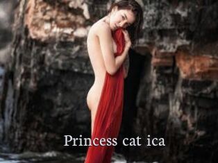 Princess_cat_ica