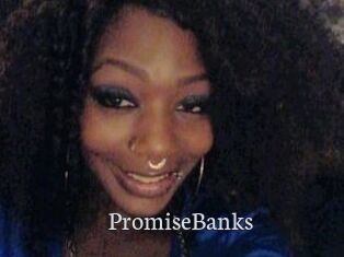 PromiseBanks Free Host Empire