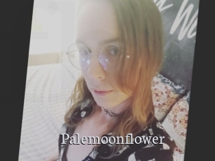 Palemoonflower