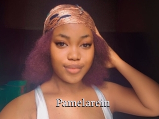 Pamelarein