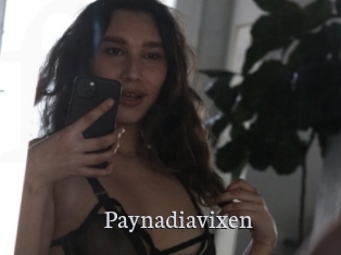 Paynadiavixen