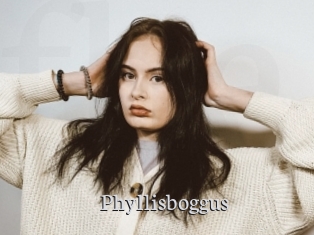 Phyllisboggus