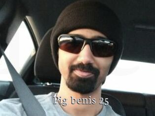 pig_benis_25 Free Host Empire