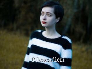 Pileacadieri