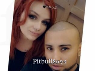 Pitbull8699