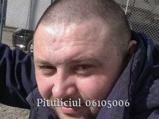 Pituliciul-06105006