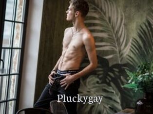 Pluckygay