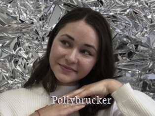 Pollybrucker