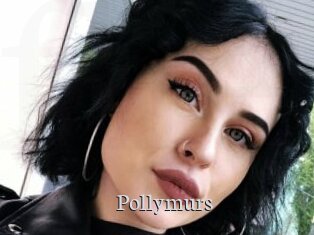 Pollymurs