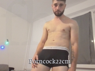 Porncock22cm