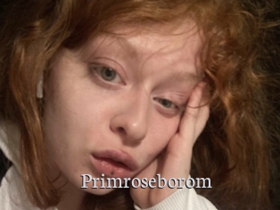 Primroseborom