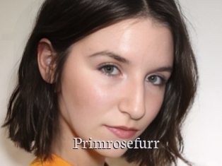 Primrosefurr
