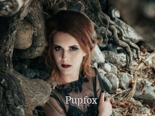 Pupfox