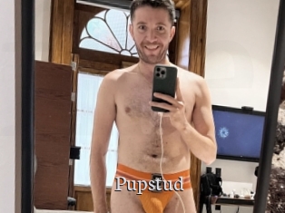 Pupstud