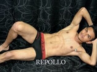 REPOLLO