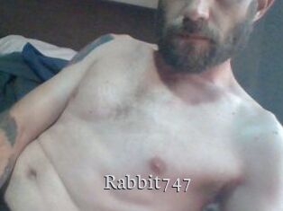 Rabbit747