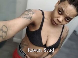Raven_Stud
