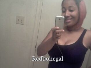 Redbonegal