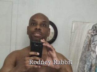 Rodney_Rabbit