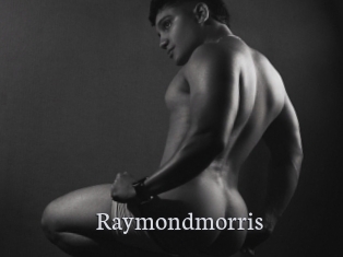 raymondmorris Free Host Empire