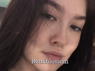 Reneblossom