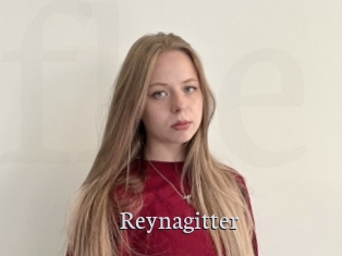 Reynagitter